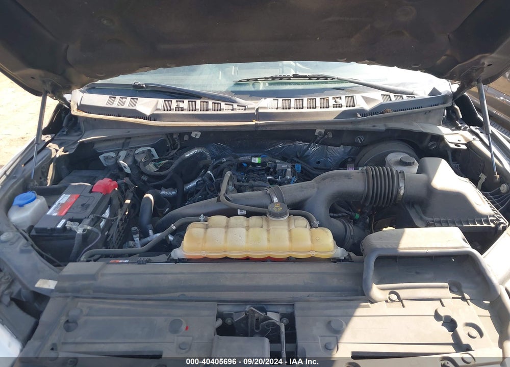 2019 FORD F-150 XLT VIN: 1FTEW1CP9KKC14463