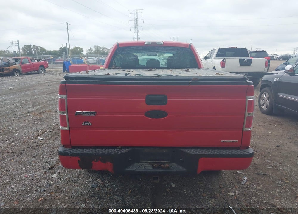 2011 FORD F-150 STX VIN: 1FTFX1EF1BFB31768