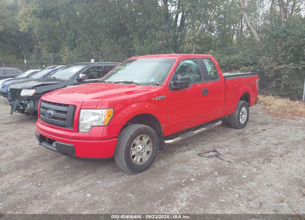 2011 FORD F-150 STX VIN: 1FTFX1EF1BFB31768