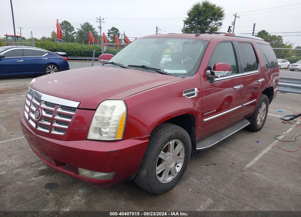 2010 CADILLAC ESCALADE STANDARD VIN: 1GYUKAEF0AR119706