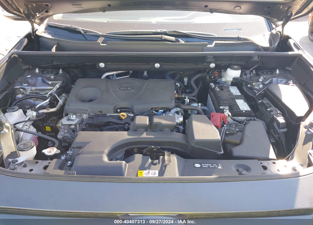 2024 TOYOTA RAV4 XLE VIN: 2T3W1RFVXRC281474