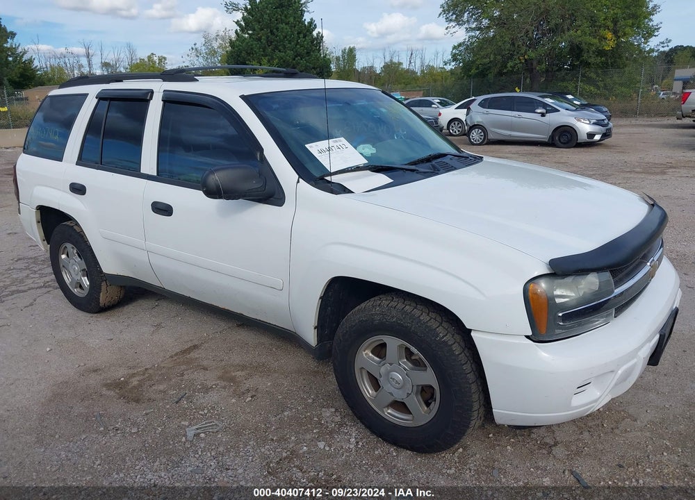 2006 CHEVROLET TRAILBLAZER LS VIN: 1GNDT13S262252414