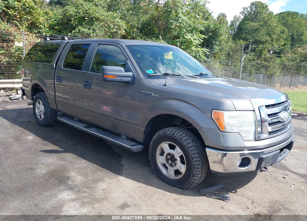 2009 FORD F-150 FX4/KING RANCH/LARIAT/PLATINUM/XL/XLT VIN: 1FTPW14V59FA72315