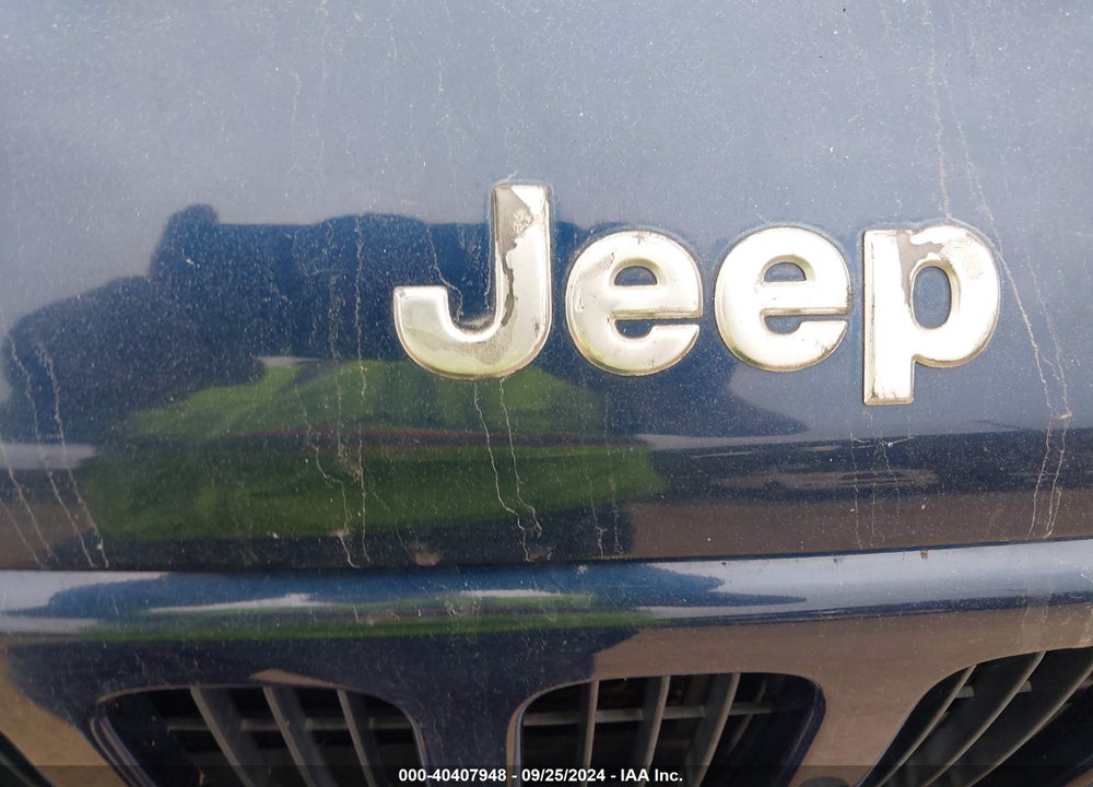 2003 JEEP LIBERTY LIMITED EDITION VIN: 1J4GL58KX3W726002