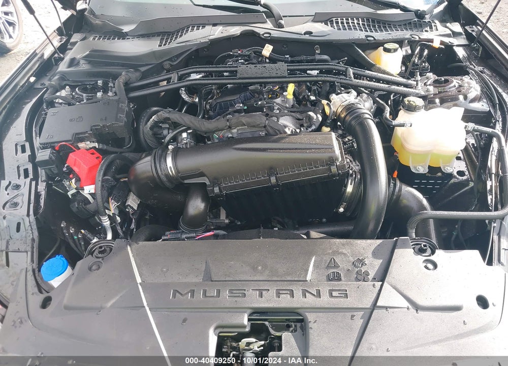 2024 FORD MUSTANG ECOBOOST PREMIUM VIN: 1FAGP8UH6R5108539