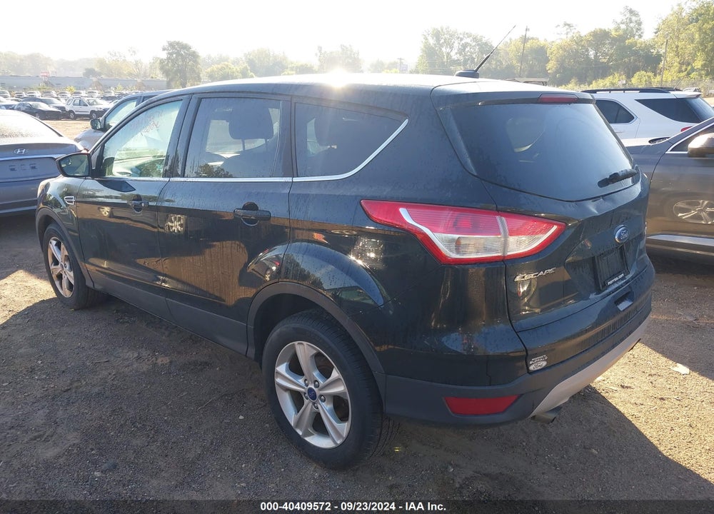 2014 FORD ESCAPE SE VIN: 1FMCU0GX3EUA03670