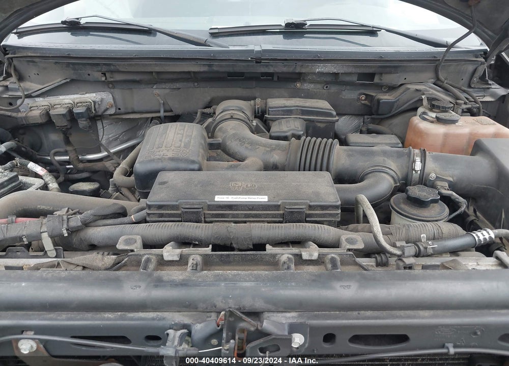 2010 FORD F-150 FX4/LARIAT/XL/XLT VIN: 1FTFX1EV0AKE57655