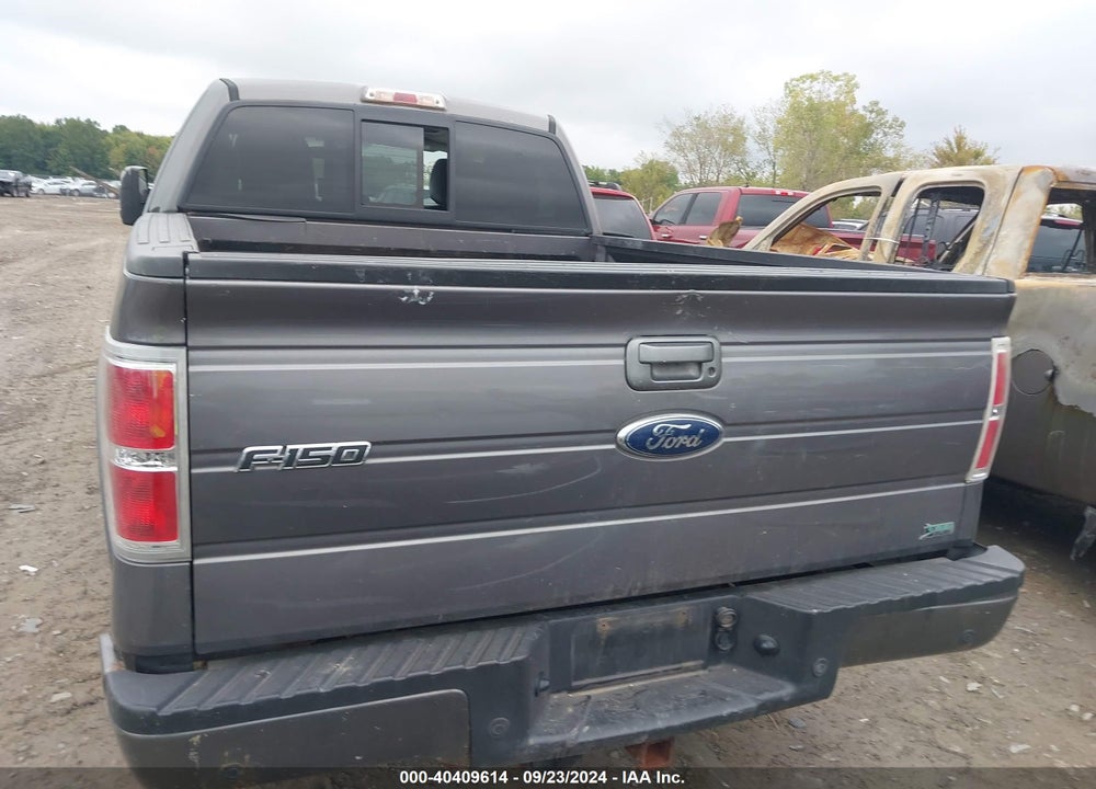 2010 FORD F-150 FX4/LARIAT/XL/XLT VIN: 1FTFX1EV0AKE57655