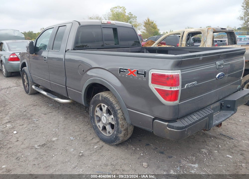 2010 FORD F-150 FX4/LARIAT/XL/XLT VIN: 1FTFX1EV0AKE57655