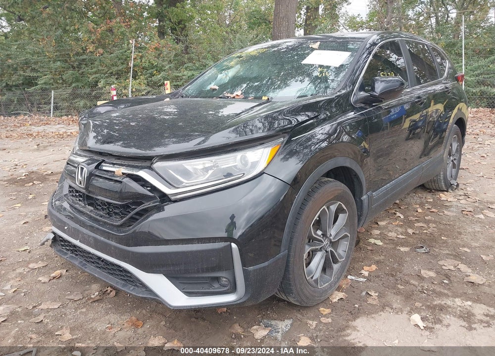 2020 HONDA CR-V 2WD EX VIN: 5J6RW1H56LA018197