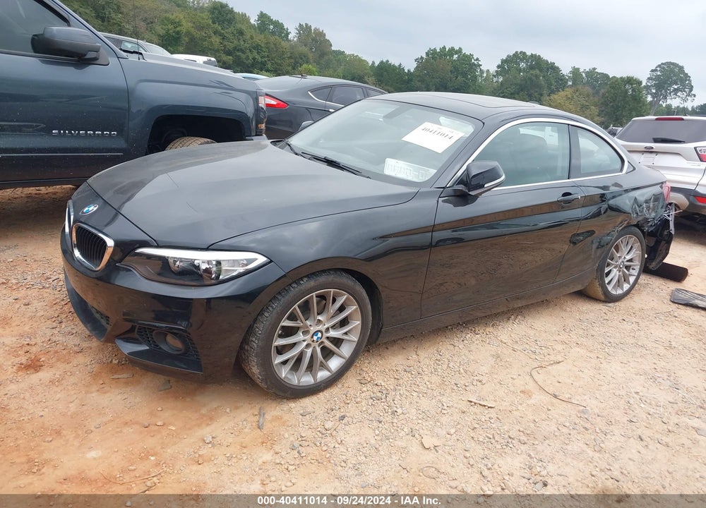 2015 BMW 228I VIN: WBA1G9C58FVX96467