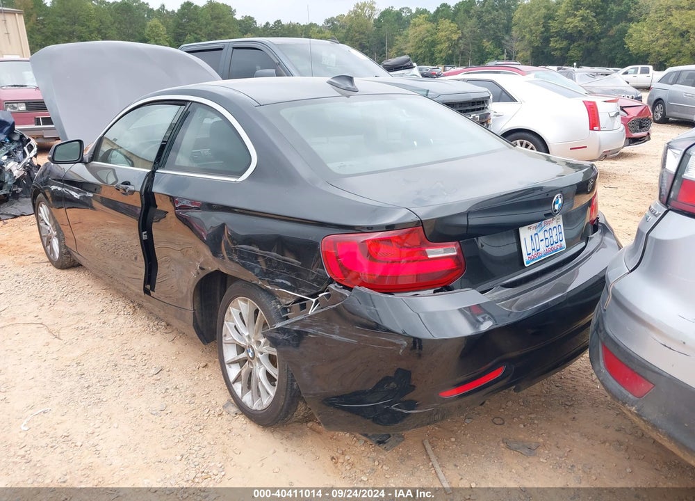2015 BMW 228I VIN: WBA1G9C58FVX96467