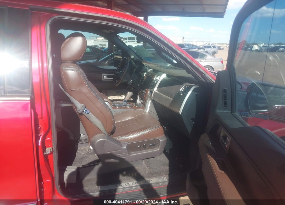 2010 FORD F-150 PLATINUM VIN: 1FTFW1CVXAFC11064