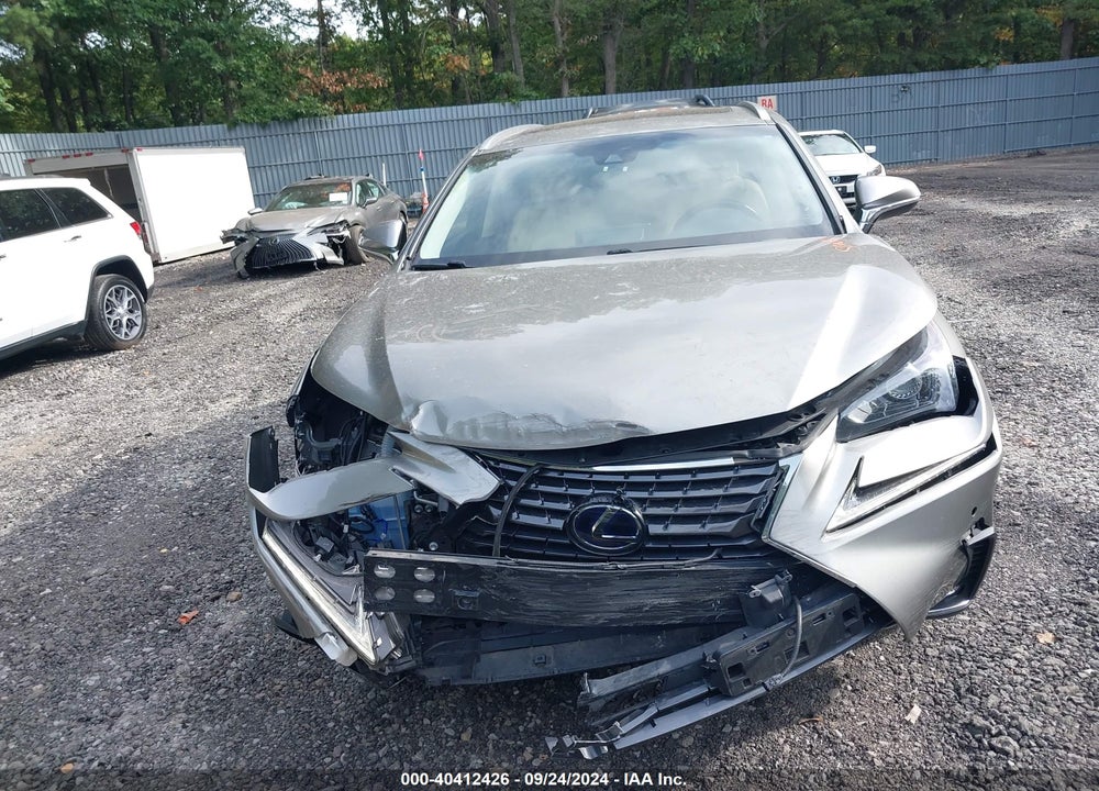 2019 LEXUS NX 300H VIN: JTJBJRBZ0K2114655