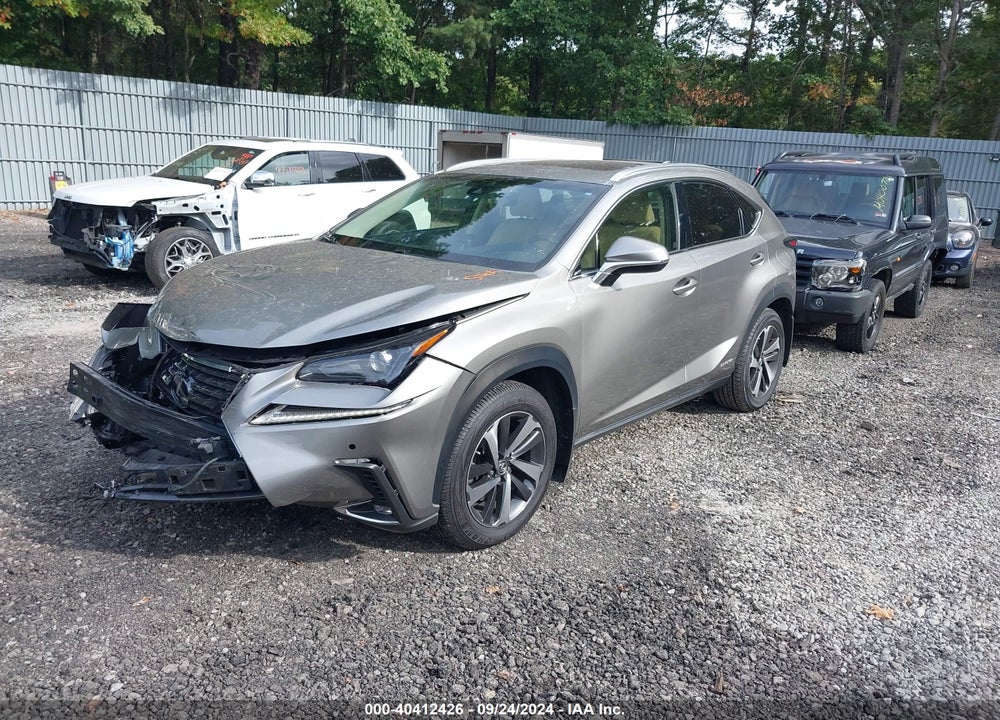 2019 LEXUS NX 300H VIN: JTJBJRBZ0K2114655