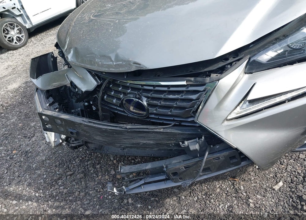 2019 LEXUS NX 300H VIN: JTJBJRBZ0K2114655