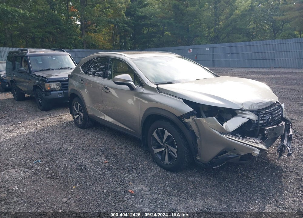 2019 LEXUS NX 300H VIN: JTJBJRBZ0K2114655