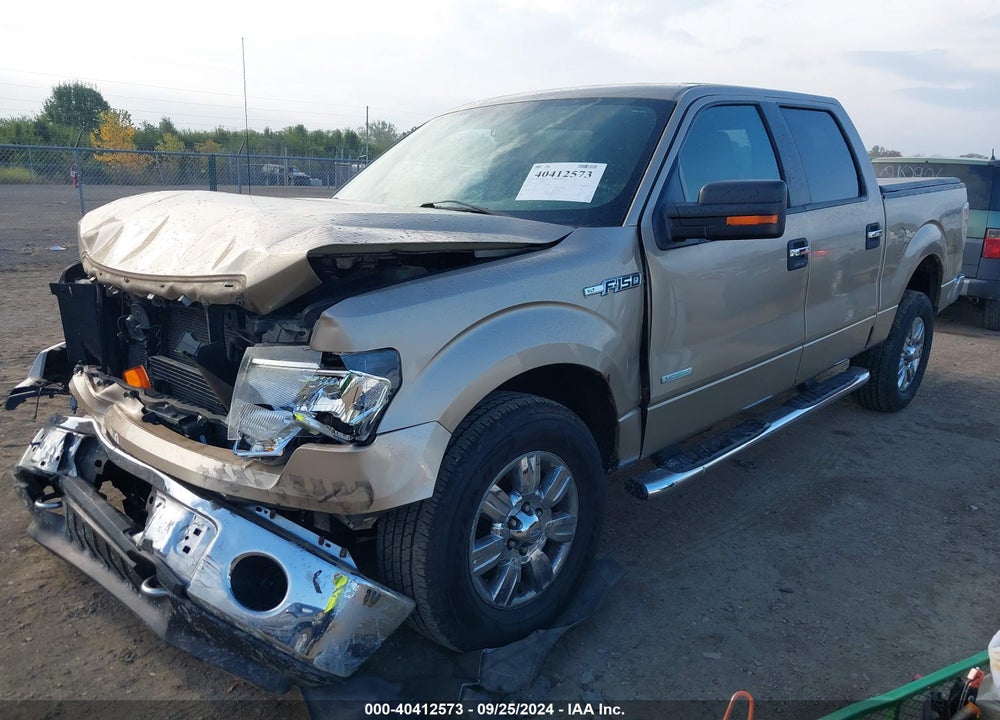 2011 FORD F-150 XLT VIN: 1FTFW1ET7BFB22761