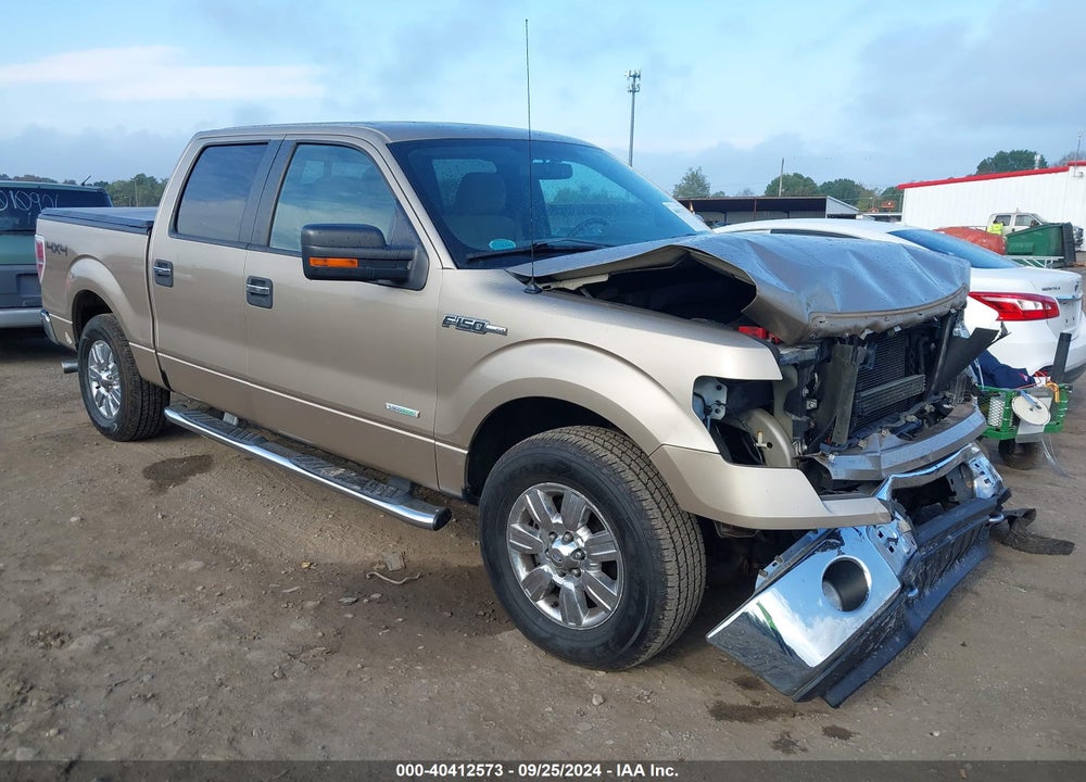 2011 FORD F-150 XLT VIN: 1FTFW1ET7BFB22761