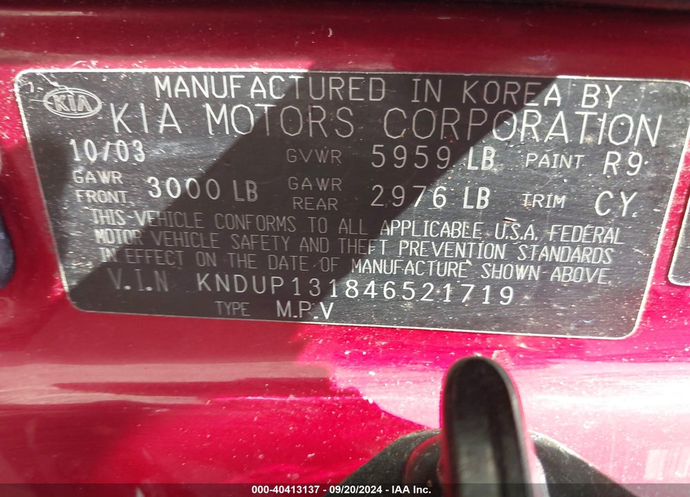2004 KIA SEDONA EX/LX VIN: KNDUP131846521719
