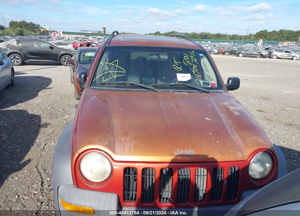 2002 JEEP LIBERTY SPORT VIN: 1J8GL48K42W202142