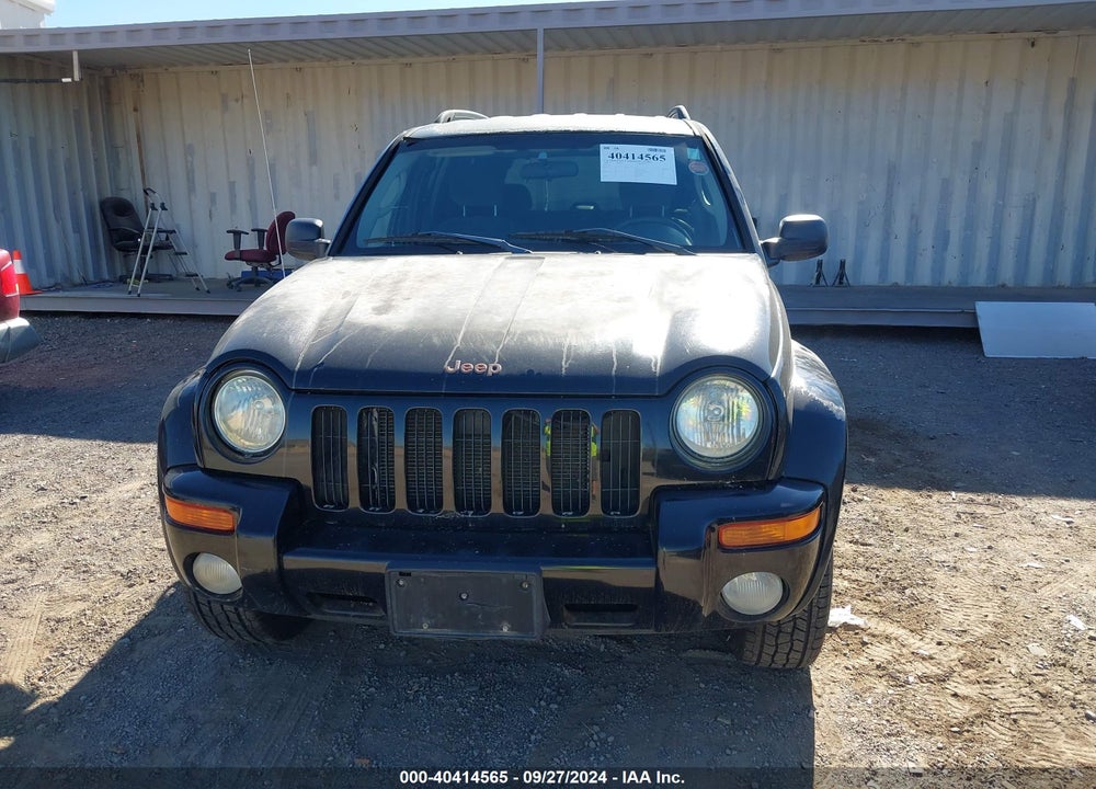 2004 JEEP LIBERTY LIMITED EDITION VIN: 1J4GL58K54W187435