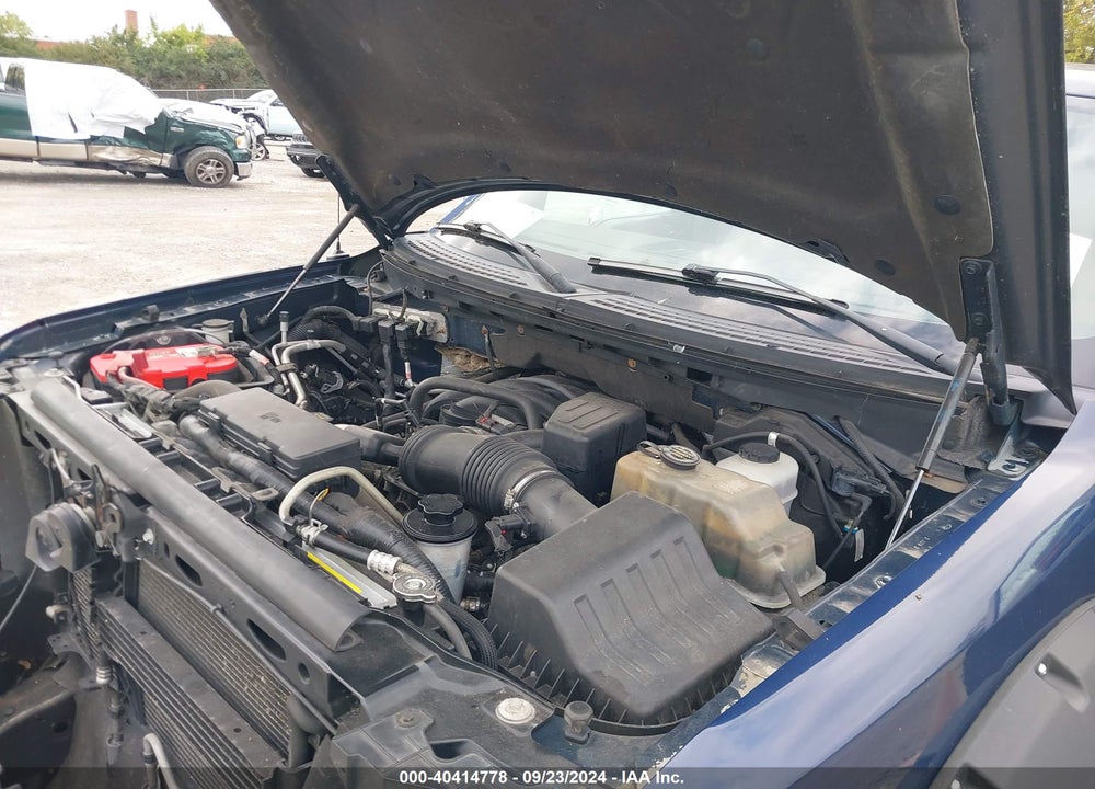 2010 FORD F-150 XL/XLT VIN: 1FTFW1E87AFB74322