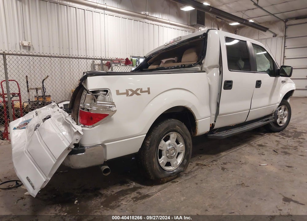 2013 FORD F-150 XLT VIN: 1FTFW1EF3DFB77169