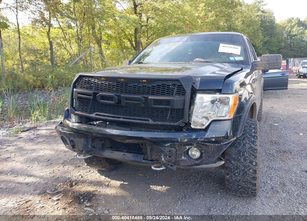 2011 FORD F-150 XLT VIN: 1FTFX1EFXBFB13351
