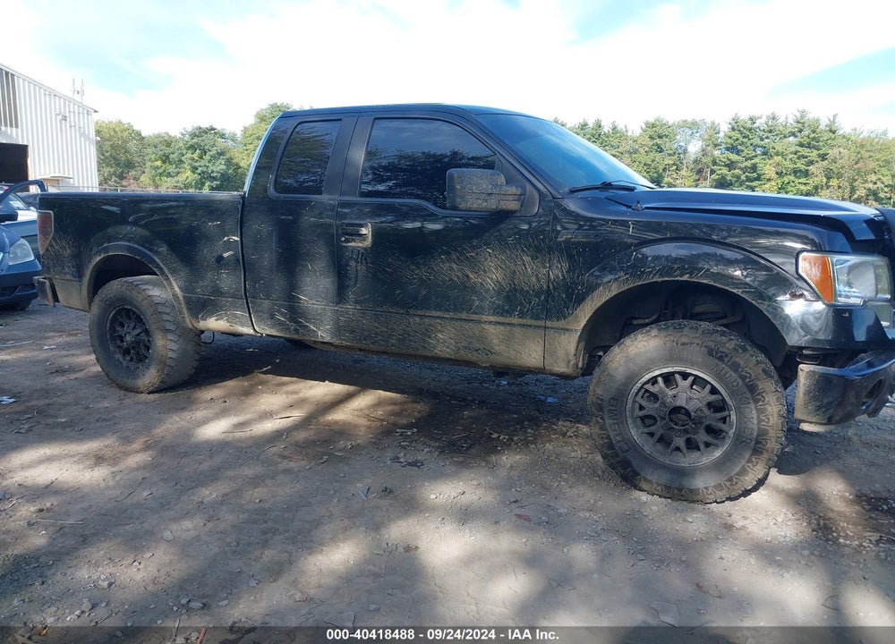 2011 FORD F-150 XLT VIN: 1FTFX1EFXBFB13351