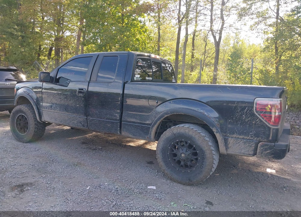 2011 FORD F-150 XLT VIN: 1FTFX1EFXBFB13351