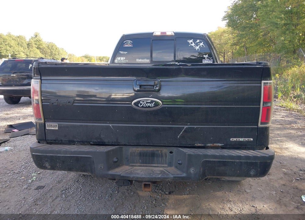 2011 FORD F-150 XLT VIN: 1FTFX1EFXBFB13351