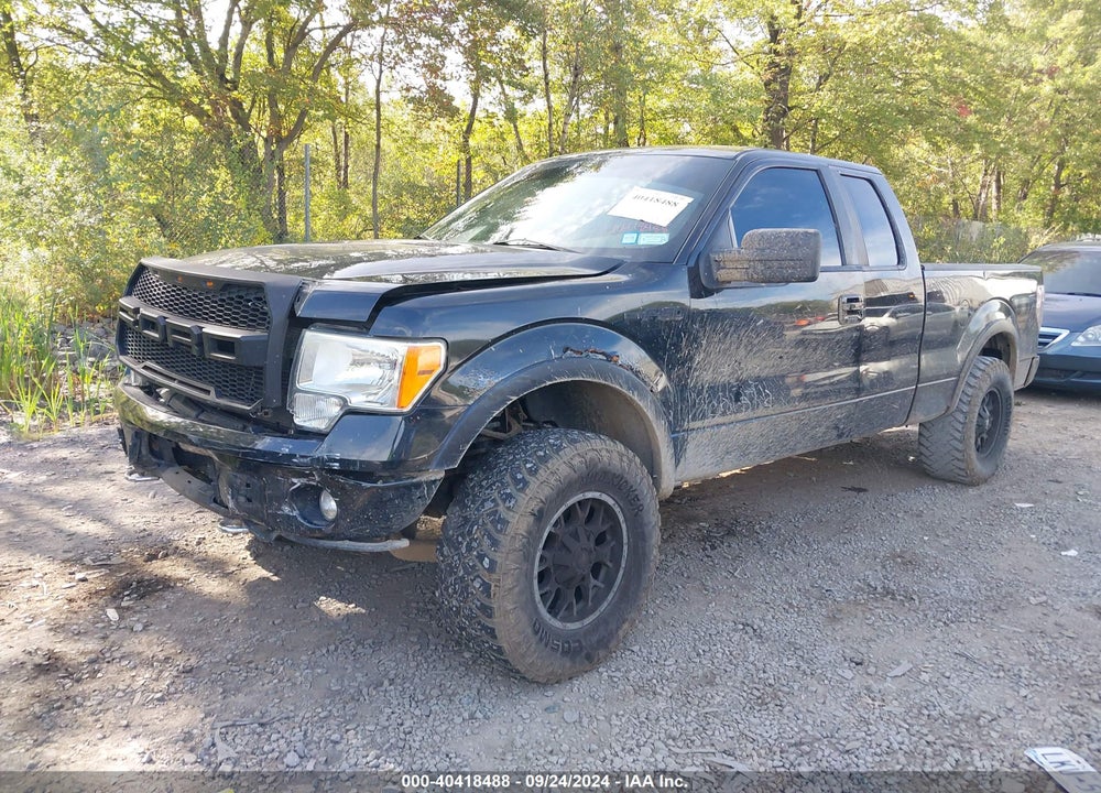 2011 FORD F-150 XLT VIN: 1FTFX1EFXBFB13351