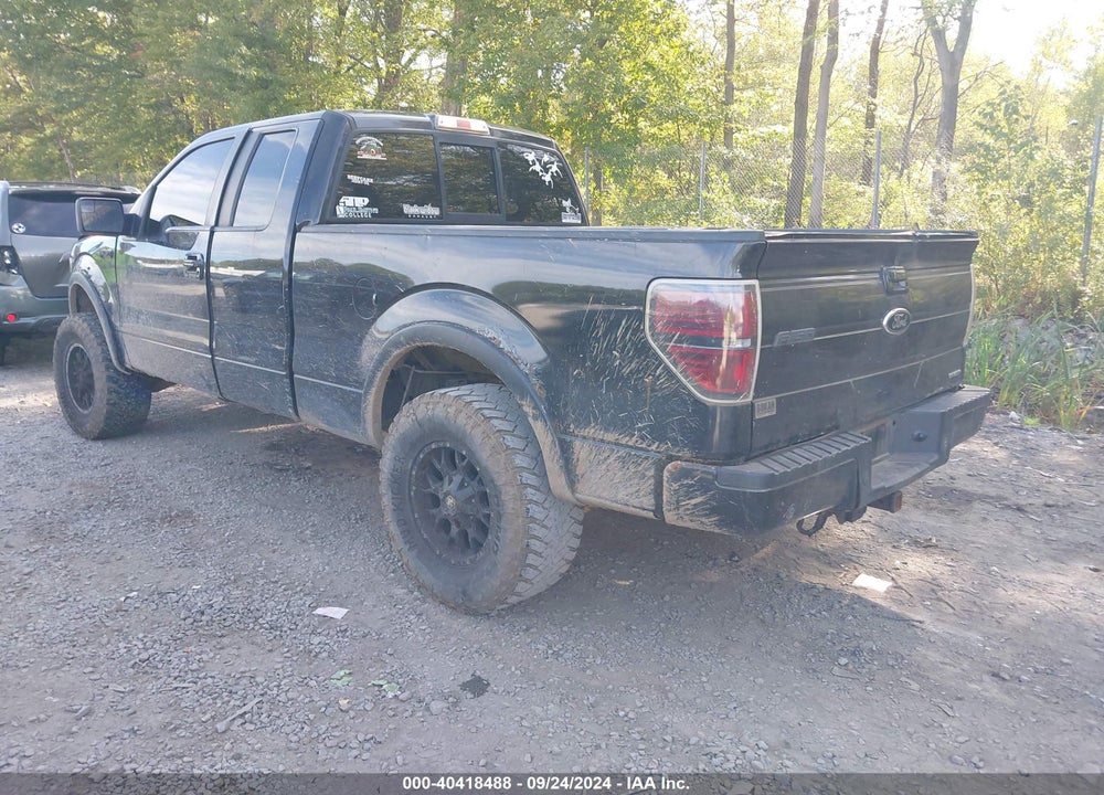 2011 FORD F-150 XLT VIN: 1FTFX1EFXBFB13351