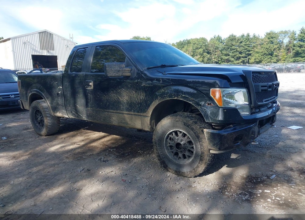 2011 FORD F-150 XLT VIN: 1FTFX1EFXBFB13351