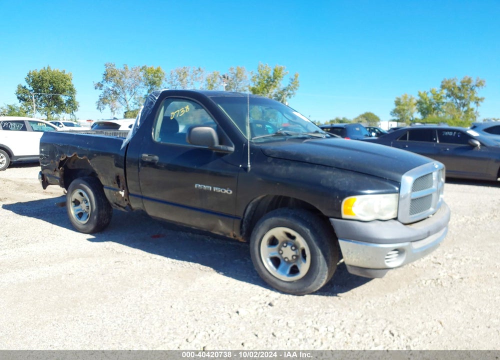 2002 DODGE RAM 1500 ST VIN: 1D7HA16K32J260796