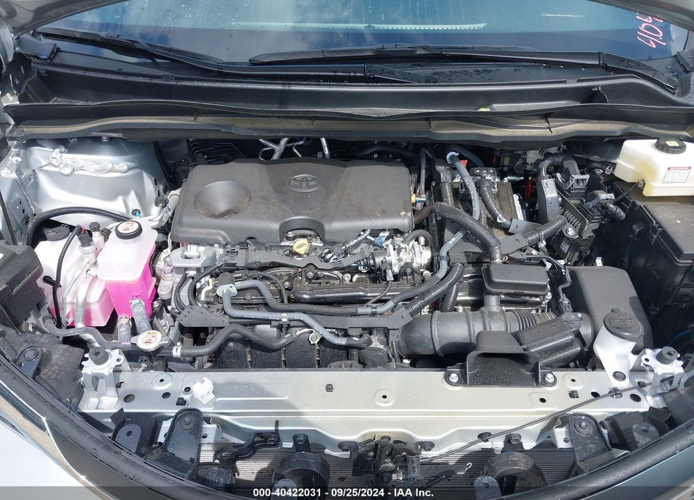 2024 TOYOTA SIENNA XLE VIN: 5TDYRKEC2RS183466