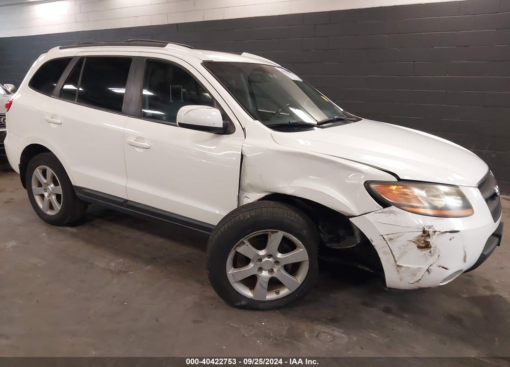 2009 HYUNDAI SANTA FE SE VIN: 5NMSH73EX9H297471