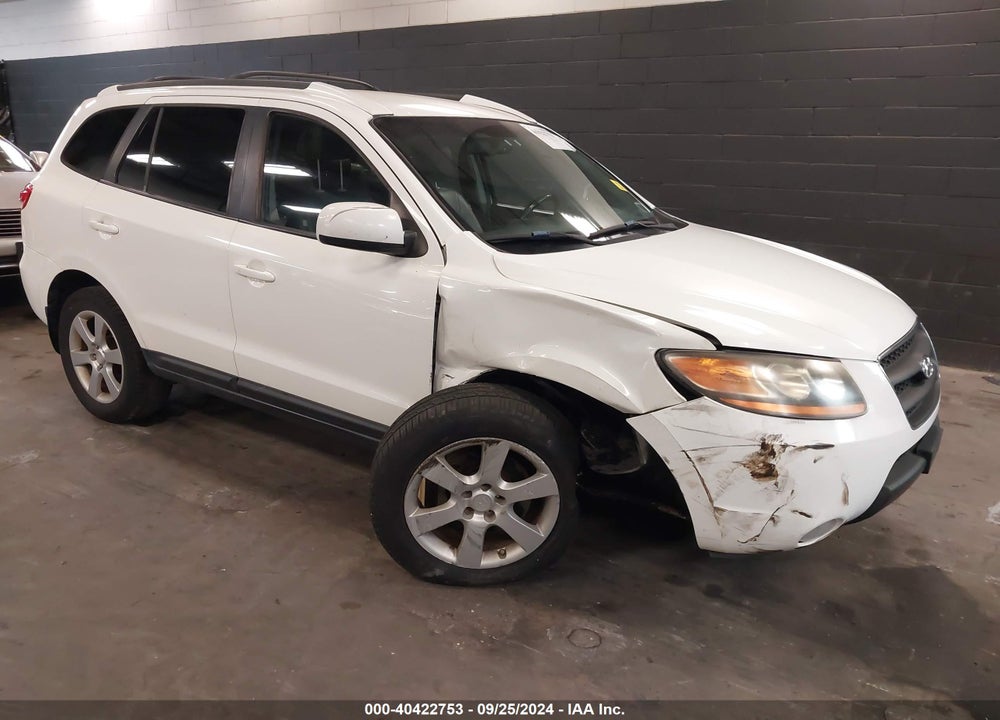 2009 HYUNDAI SANTA FE SE VIN: 5NMSH73EX9H297471