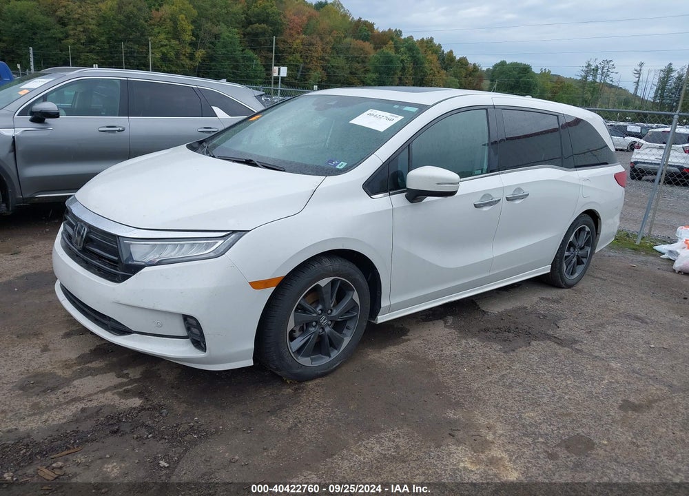 2023 HONDA ODYSSEY ELITE VIN: 5FNRL6H90PB035878
