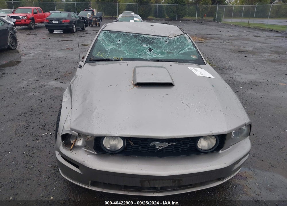 2009 FORD MUSTANG GT/GT PREMIUM VIN: 1ZVHT82H095126268