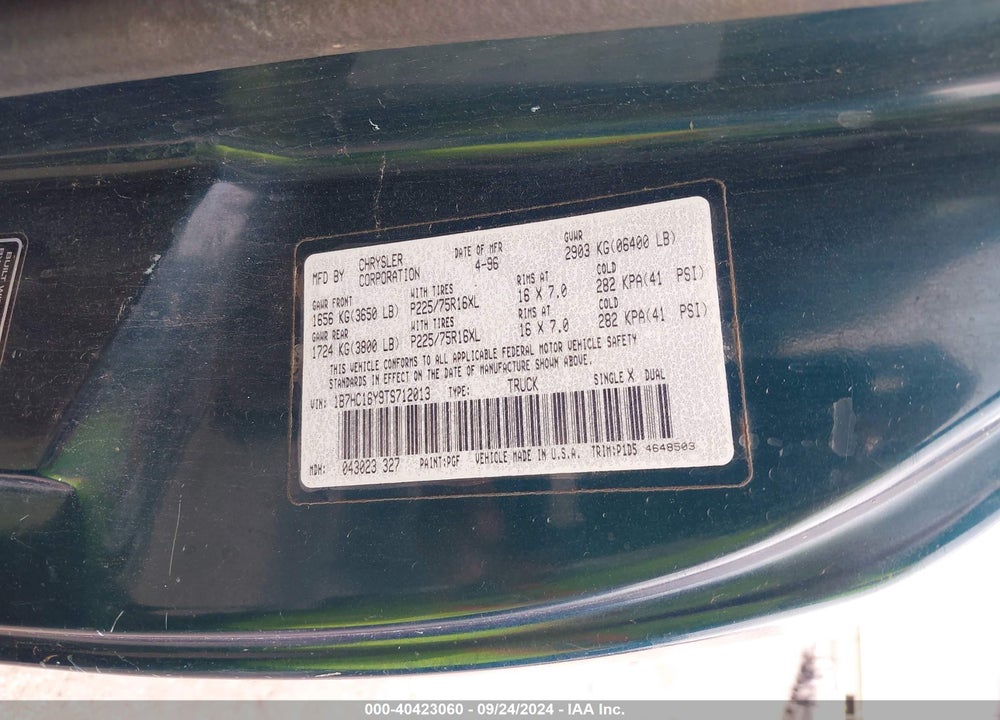1996 DODGE RAM 1500 VIN: 1B7HC16Y9TS712013