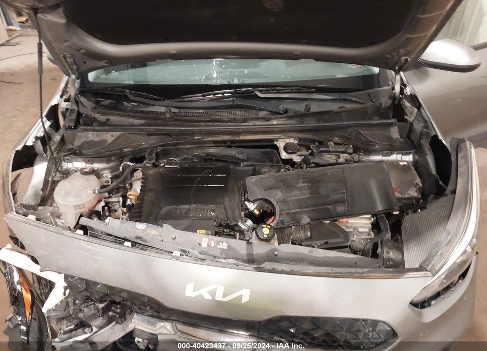 2022 KIA NIRO LXS VIN: KNDCB3LC9N5549351