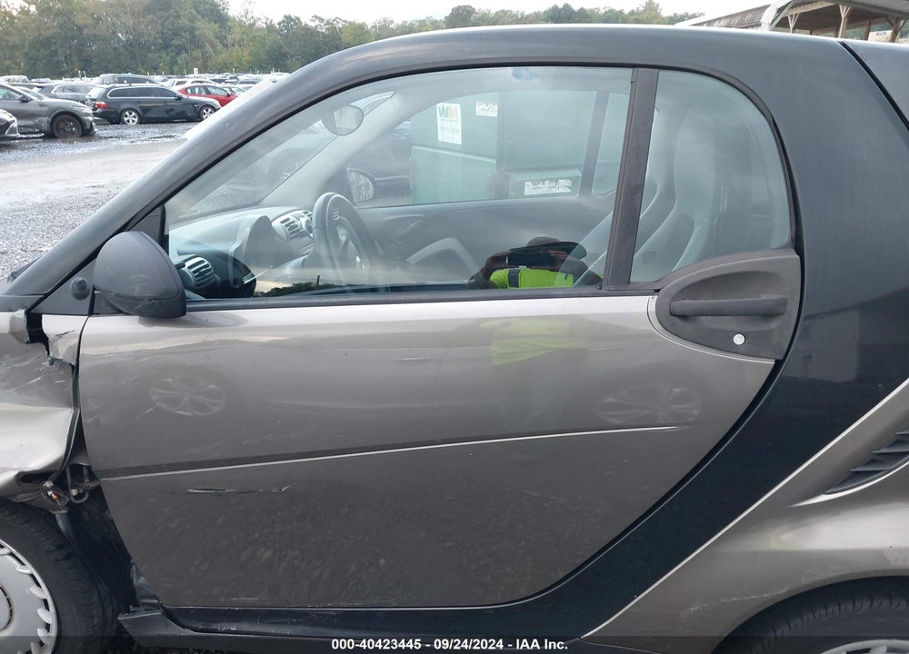 2009 SMART FORTWO BRABUS/PASSION/PURE VIN: WMEEJ31X09K252334