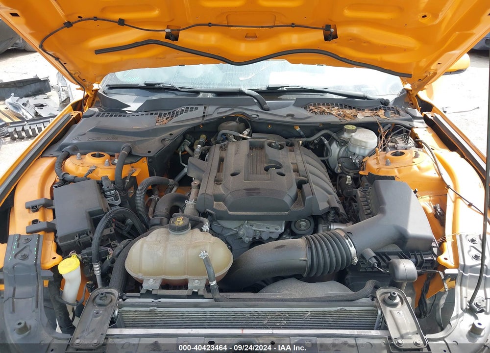 2019 FORD MUSTANG ECOBOOST PREMIUM VIN: 1FA6P8TH7K5134294