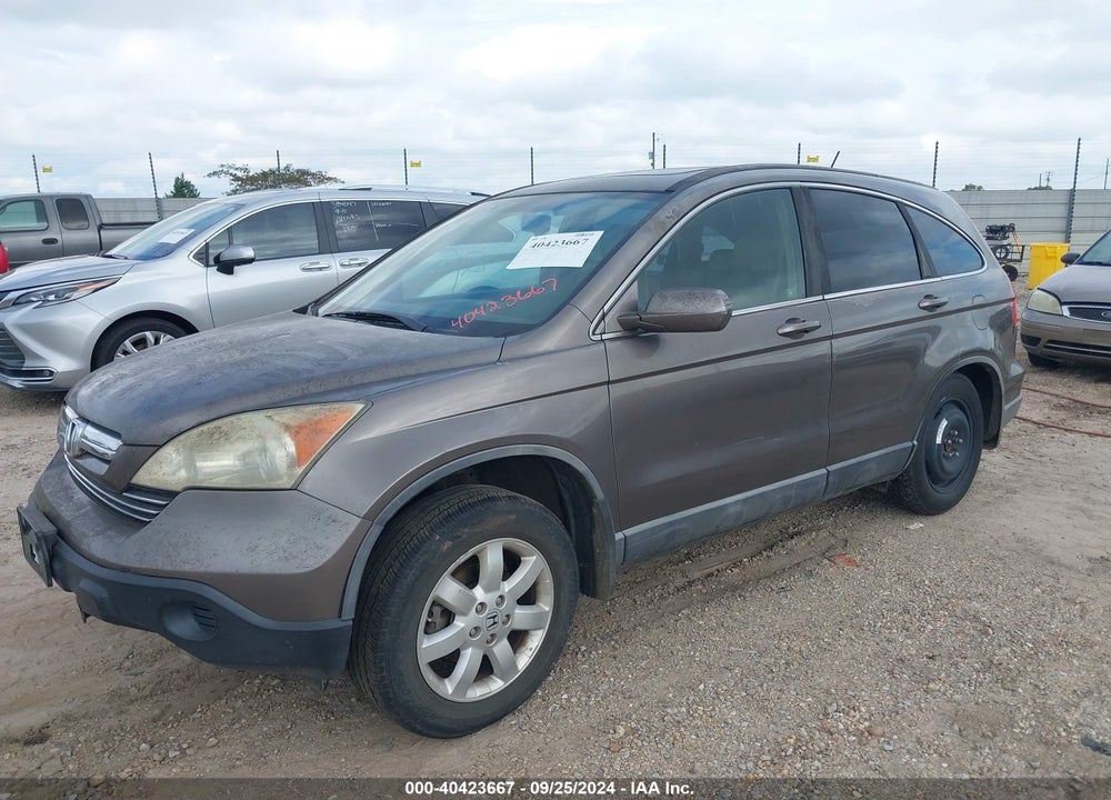 2009 HONDA CR-V EX-L VIN: 5J6RE38789L001642