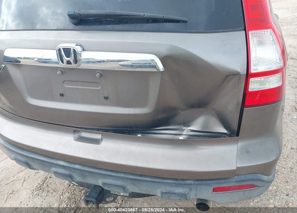 2009 HONDA CR-V EX-L VIN: 5J6RE38789L001642