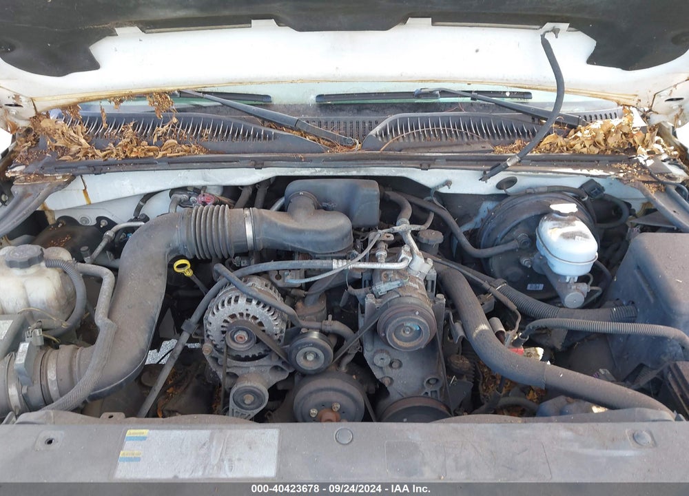 2006 CHEVROLET SILVERADO 1500 WORK TRUCK VIN: 1GCEC19X96Z242518