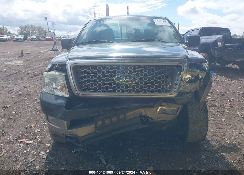 2004 FORD F-150 FX4/LARIAT/XLT VIN: 1FTPW145X4KB96595