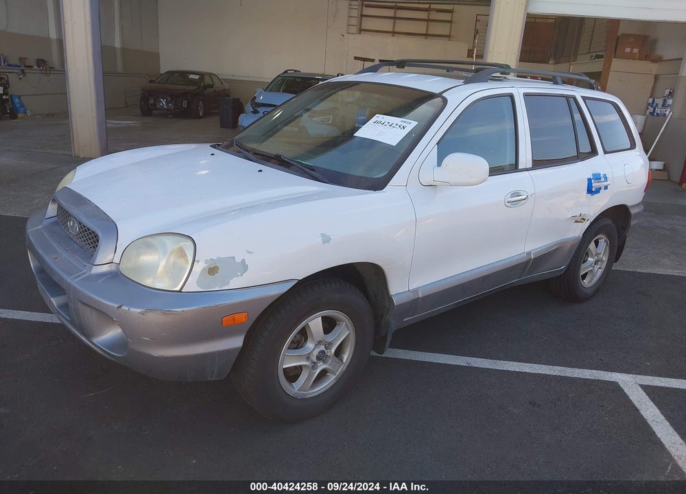 2002 HYUNDAI SANTA FE VIN: KM8SC13D62U301741